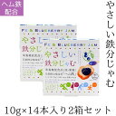 メール便【やさしい鉄分じゃむ スティック10g×14本×2箱セット】健康食品 栄養機能食品 ヘム鉄 鉄分 葉酸 ビタミンB12 ビタミンD ブルーベリー ジャム 使い切り 個包装 小袋 貧血 鉄分補給 女性 妊活 妊婦 ママ 1歳