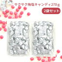 楽天元氣になれ通販部メール便【サクサク梅塩キャンディ 270g×2袋セット】塩 塩分 塩分補給 クランチキャンディ 松屋製菓 熱中症 暑さ対策 梅 梅塩 飴 業務用 スポーツ 屋外作業 クエン酸 メール便