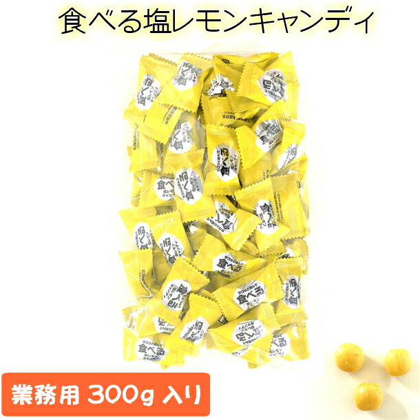 メール便【食べる塩レモンキャンディ 300g】塩 塩分　 塩分補給 クランチキャンディ 松屋製菓 熱中症 暑さ対策 レモン 飴 業務用 スポーツ 屋外作業