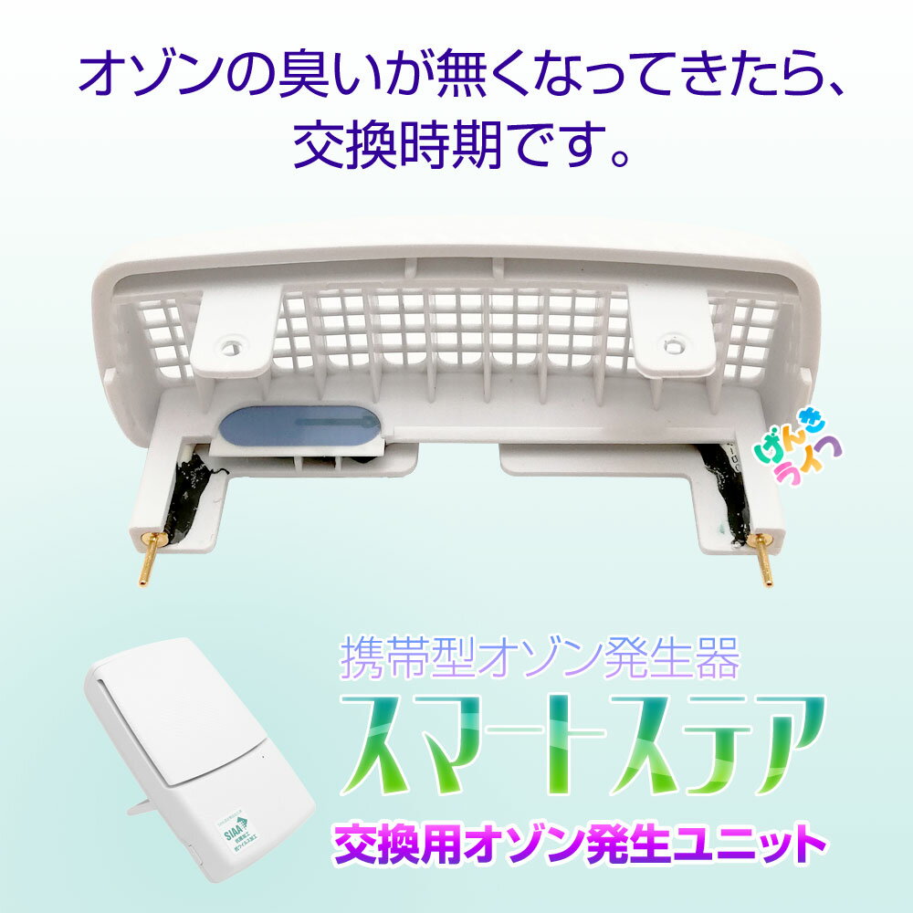 空間除菌 携帯用 オゾン 発生機 オゾナイザー スマートステ