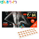 神洲 ひ鍼 30針入り 選べるセット 一般医療機器 日本薬興 皮鍼 ひしん 皮内鍼 鍼シール 置き針