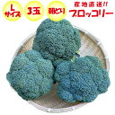 ブロッコリー Lサイズ 3玉 朝どり 露地栽培 産地直送【送料別 常温発送/クール便(気温によって配送方法変更)】