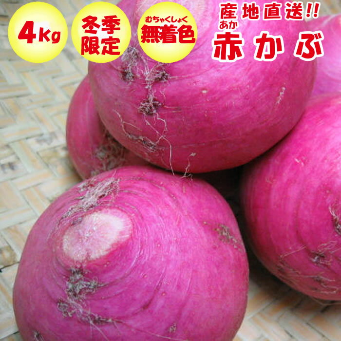 赤かぶ 4Kg入り（1袋：約2〜8玉)×5袋 漬物用 無着色【冬季限定/季節野菜 11月〜2月 送料別】のサムネイル