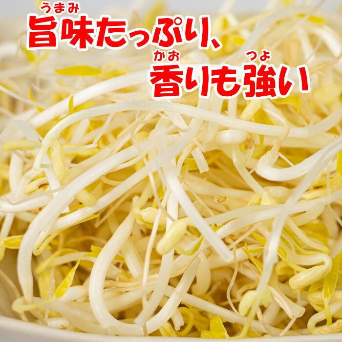 深谷もやしの特徴2