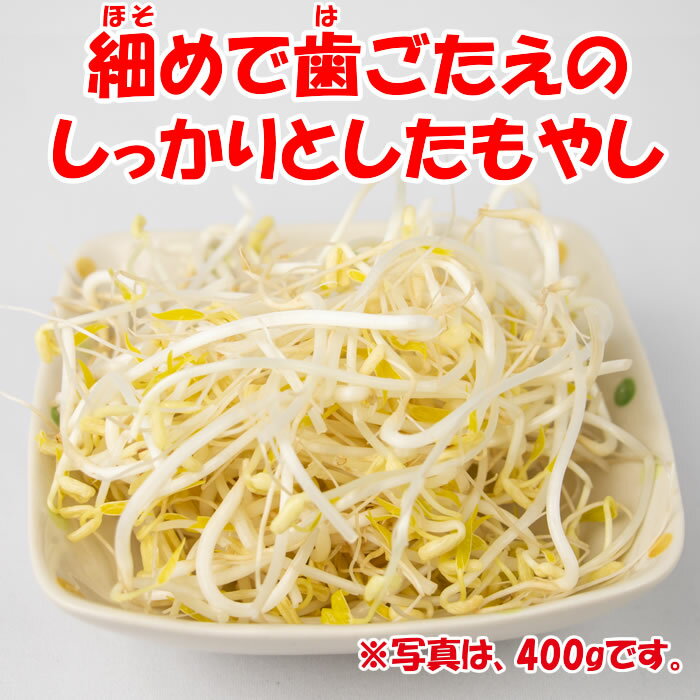 深谷もやしの特徴1