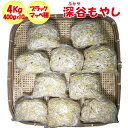 深谷もやし 4Kg（400g x 10パック） 闘うもやし【販売者：飯塚商店（埼玉県深谷市）冷蔵品 送料別 クール宅急便】