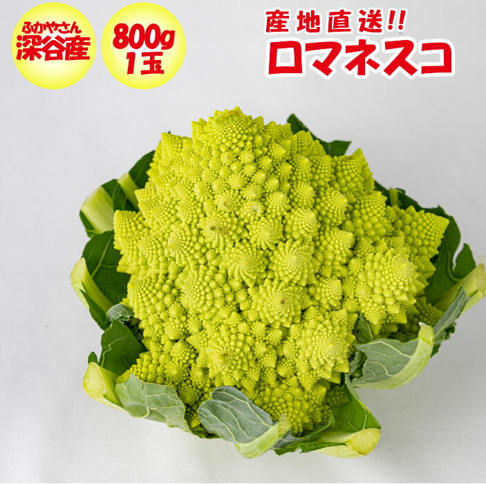 カリフラワー（ロマネスコ） 1玉（約800g）【冬季限定/季節野菜 11月〜2月 （埼玉県深谷市産）常温発送 送料別】のサムネイル
