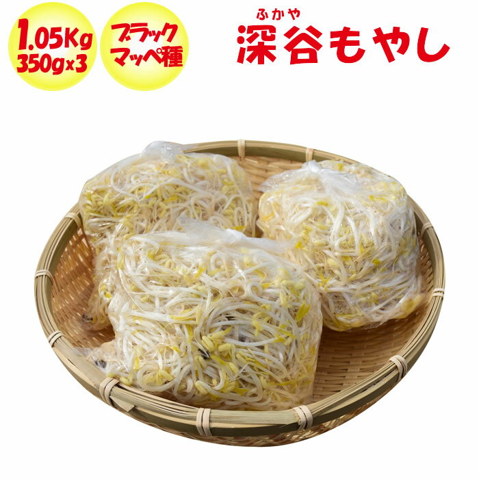 深谷もやし 1050g 350g x 3パック 闘うもやし【飯塚商店 埼玉県深谷市 冷蔵品 送料別 クール宅急便】