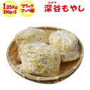 深谷もやし 1050g(350g x 3パック) 闘うもやし【飯塚商店(埼玉県深谷市)冷蔵品 送料別 クール宅急便】
