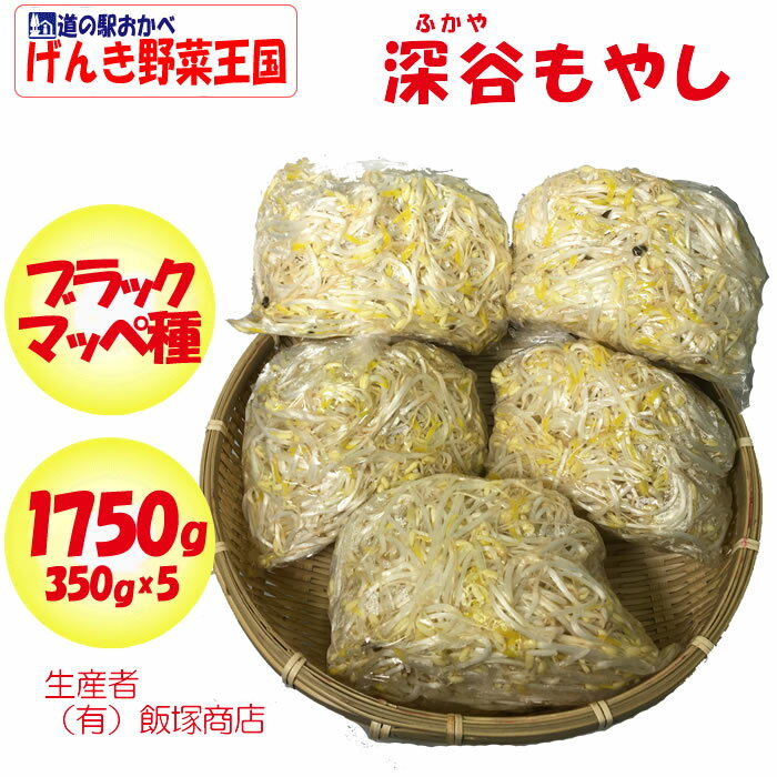 深谷もやし 1750Kg（350g x 5パック） 闘うもやし【飯塚商店（埼玉県深谷市）冷蔵品 送料別 クール宅急便】