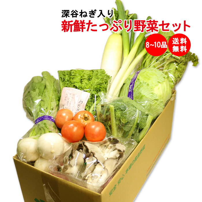 新鮮たっぷり野菜セット 8～10品目（深谷ねぎ入り）【送料無料 常温発送／クール便（気温によって配送方法変更）】