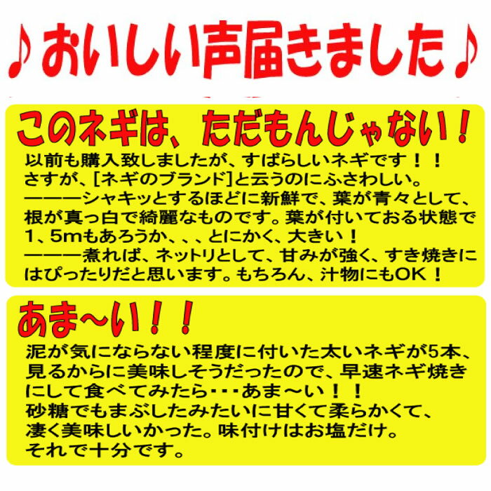 うれしい声をいただきました