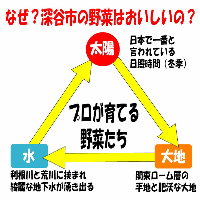 プロが育てる
