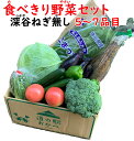 食べ切り野菜セット 5〜7品目(深谷ねぎなし)【送料別 同梱におススメ 常温発送/クール便(気温によって配送方法変更)】