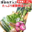 【ふるさと納税】農家おまかせ木城の旬野菜定期便6回 - 産地直送 野菜セット 旬の野菜6〜8品程度 季節の野菜 おまかせ お楽しみ 新鮮 野菜の詰め合わせ 野菜宅配 6回定期便 6ヶ月定期便 例：きゅうり/生椎茸/生姜/ドレッシングなど 送料無料 【宮崎県木城町】