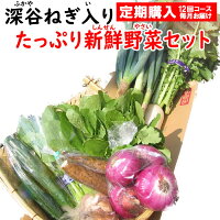 【定期購入・定期便】新鮮野菜セット 8〜10品目 （深谷ねぎ入り）【毎月 年12回コ...