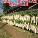 赤城おろし 葉付き干し大根 16Kg 秘伝の合わせぬか付【たくあん用大根 送料別 同梱不可】