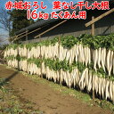 赤城おろし 葉なし干し大根 16Kg たくあん用大根・ぬか無し【送料別 同梱不可】