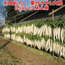 赤城おろし 葉付き干し大根 16Kg たくあん用大根・ぬか無し【同梱不可 送料別】
