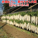 赤城おろし 葉付き干し大根 12Kg たくあん用大根・ぬか無し【同梱不可 送料別】