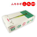 産地直送 深谷ねぎ むきねぎ Lサイズ 45本【常温発送/クール便(気温によって配送方法変更)送料別】