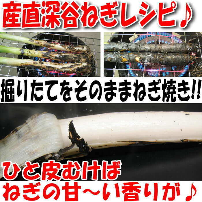 ひと皮むけば