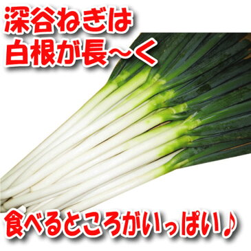 深谷ねぎ2Kgセット 無選別 送料無料【産地直送 常温発送／クール便（気温によって配送方法変更）】