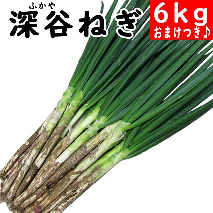 産地直送♪深谷ねぎ6kgセット送料無料すき焼き・鍋・お試し・歳暮・ギフト・ネギ・葱