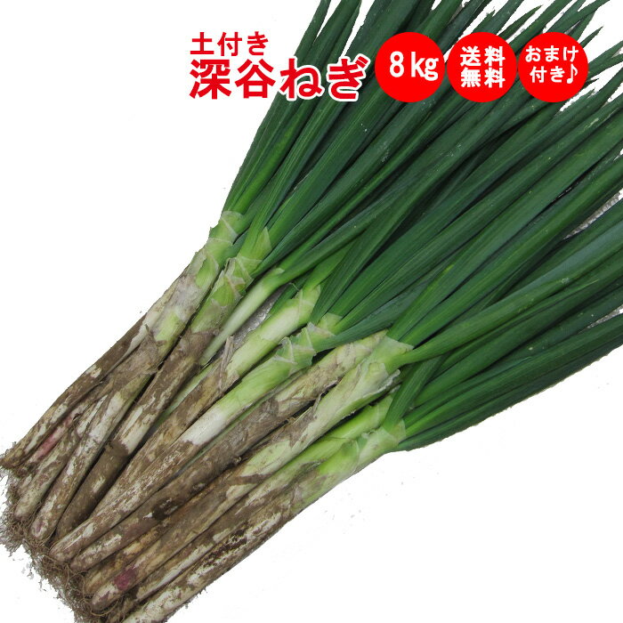 土付き深谷ねぎ8Kgセット 購入特典付き 【産地直送 無選別 送料無料 常温発送／クール便（気温によって..