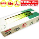 青ねぎ 10g×10袋 九州産 乾燥野菜 青葱 吉良食品 あおねぎ ドライ葱 干し野菜 国産 国内産 乾物 便利野菜 備蓄 非常食