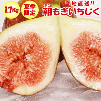 産地直送朝もぎいちじく1.7Kg埼玉県産送料無料