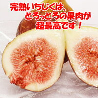 とろっとろが最高