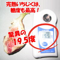 糖度も最高!