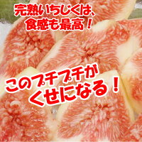 プチプチがくせになる