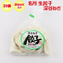 名所 生餃子(深谷ねぎ)20個入 【埼玉県深谷市 冷凍品 送料別 クール便】【NS】