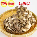 菌床（きんしょう）しめじ 約200g【埼玉県深谷市産 送料別】