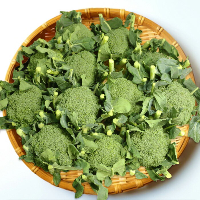 ブロッコリー Lサイズ 箱売り（12玉） 朝どり 露地栽培 産地直送【送料別 常温発送／クール便（気温に..