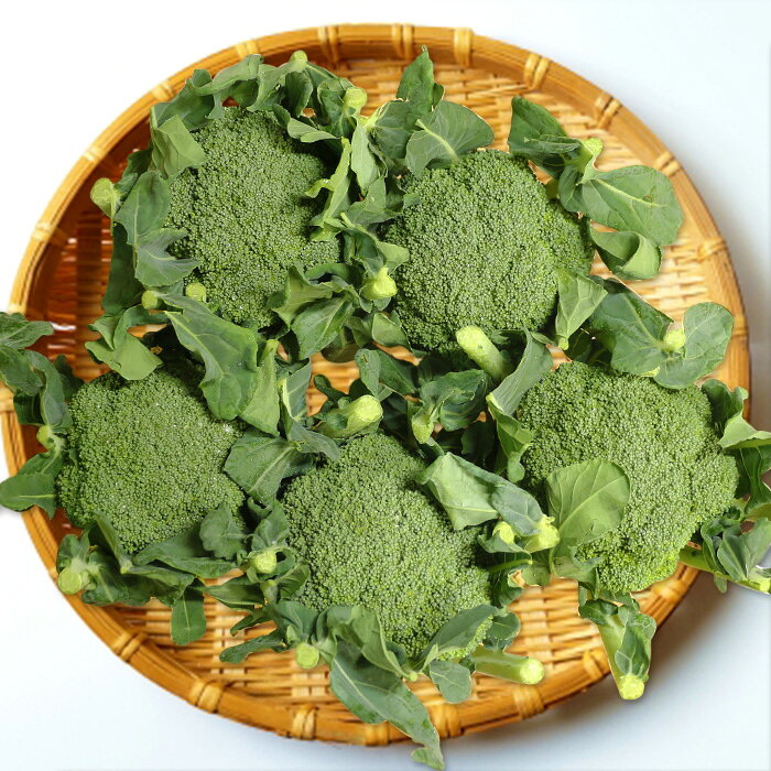 ブロッコリー Lサイズ 5玉 朝どり 露地栽培 産地直送【送料別 常温発送／クール便（気温によって配送方..