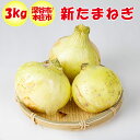 新たまねぎ 3kg (2L/Lサイズ)深谷/本庄産【約10個〜18個 季節野菜 4月〜6月 常温発送 送料無料】