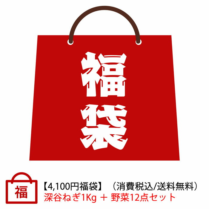 【2023-24年福袋・初売り】新春福袋 深谷ねぎ1Kg＋地元新鮮野菜12点【販売期間：12月15日（金）〜1月5日（金）送料無料】のサムネイル