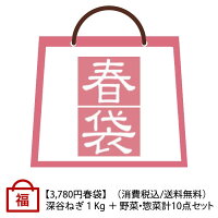 春の福袋 深谷ねぎ1Kg＋野菜・惣菜 計10点【受注期間：4月1日（月）～5月15日（水...