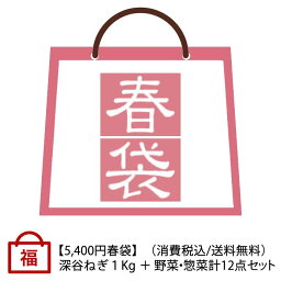 春の福袋 深谷ねぎ1Kg＋野菜・惣菜 計12点【受注期間：4月1日（月）～5月15日（水）お届けは4月16日以降、送料無料】