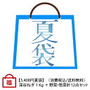 夏の福袋 深谷ねぎ1Kg+野菜・惣菜 計12点【受注期間:7月12日~8月31日お届けは7月22日以降、送料無料】