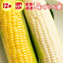 【発送は6月開始予定】【夏ギフト】味くらべ便 味来 VS ホワイトコーン 2種計12本入り【産地直送 6月下旬〜7月上旬 クール宅急便 期日指定不可 送料込】【...