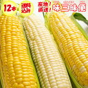 【発送は6月開始予定】【夏ギフト】味三昧便 味来VSホワイトコーンVSバイカラーコーン【産地直送 あじざんまいセット 3種 計12本 6月下旬〜7月上旬 送料込...