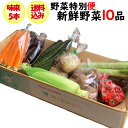 【発送は6月開始予定】【夏ギフト】野菜特別便 新鮮野菜10品【産地直送 6月下旬〜7月末 クール宅急便 期日指定不可 送料込】【同梱不可】