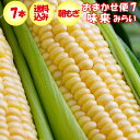 【発送は6月開始予定】【夏ギフト】おまかせ便7 朝もぎ味来1箱2Lサイズ 7本入り【産地直送 6月中旬~6月下旬 クール宅急便 期日指定不可 送料込】【同梱不可...