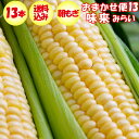 【発送は6月開始予定】【夏ギフト】おまかせ便13 朝もぎ味来1箱2Lサイズ 13本入り【産地直送 6月中旬〜6月下旬 クール宅急便 期日指定不可 送料込】【同梱...