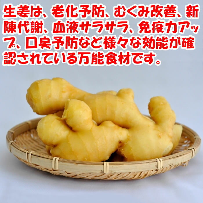 国産本格たまりしょうが漬 250g ふかや物産観光【埼玉県深谷市 送料別】