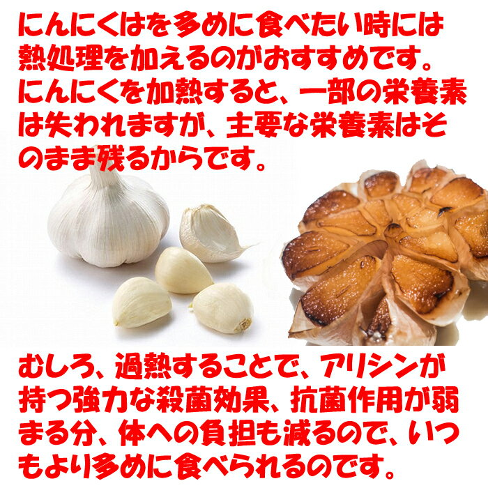 焼にんにくわさびマヨネーズ味 さくさく2度揚げ 70g【長登屋（埼玉県川越市）送料別】【NS】 2